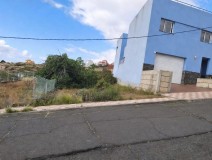 Foto1