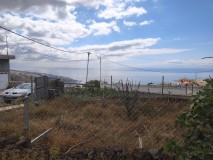 Foto7