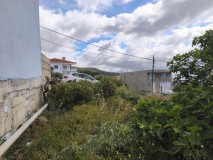 Foto8