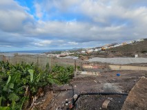 Foto45