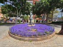 Foto35