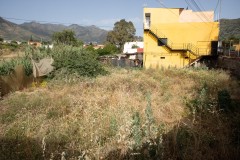 Foto8