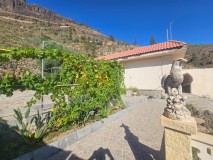 Foto1