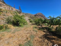 Foto12