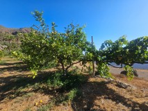 Foto14