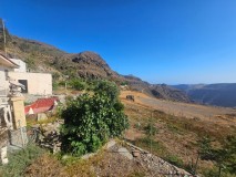 Foto5