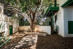 Foto46