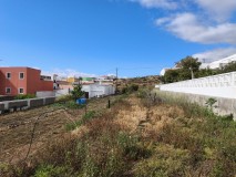 Foto7
