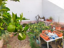 Foto51
