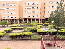 Foto1