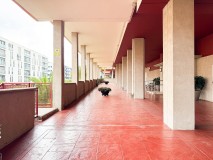 Foto43