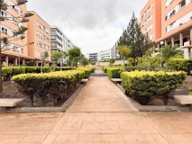 Foto46