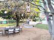 Foto39