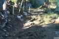 Foto5
