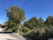 Foto4