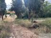 Foto4