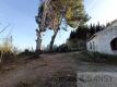 Foto10