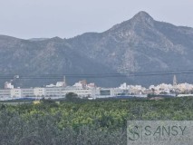 Foto11