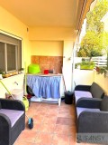 Foto8