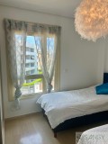 Foto19
