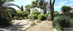 Foto4
