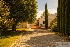Foto4