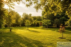 Foto7