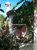 Foto36