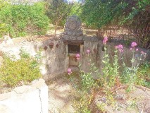 Foto17