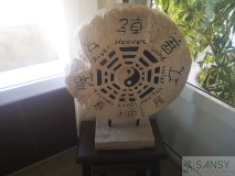 Foto19