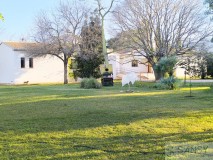 Foto3