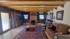 Foto5