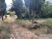 Foto34