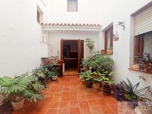 Foto4