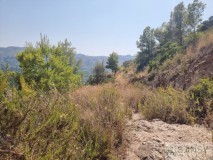 Foto18