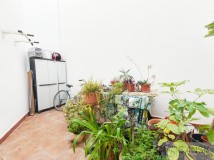 Foto8