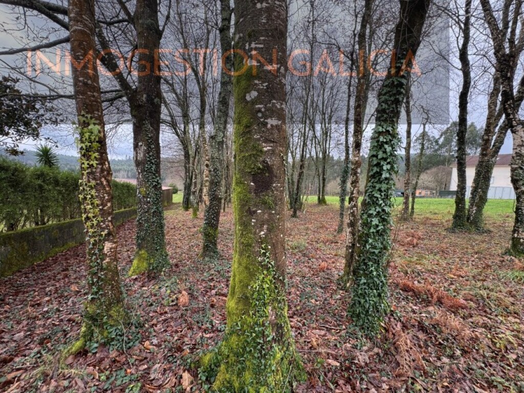 Parcela en Venta en Cerceda La Coruña - foto 4