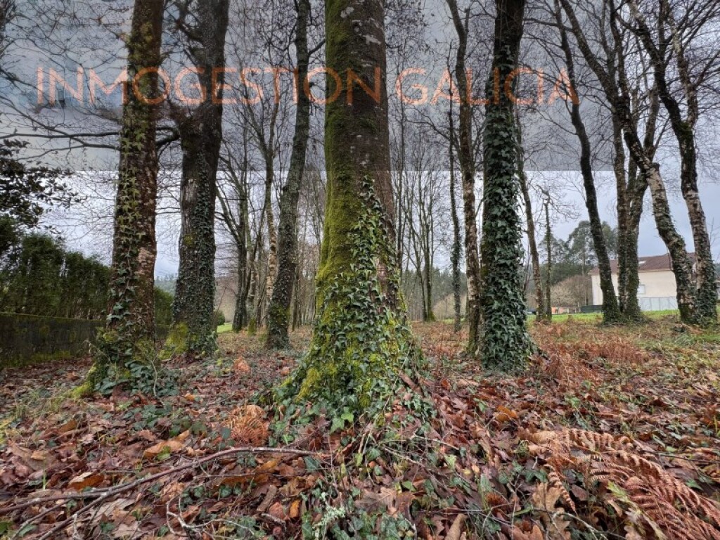 Parcela en Venta en Cerceda La Coruña - foto 5