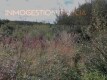 Foto4