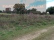 Foto5