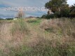 Foto8