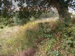 Foto10