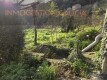 Foto6
