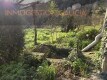 Foto15