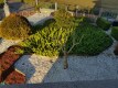 Foto5