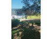 Foto5