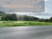 Foto2