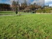 Foto4