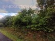 Foto6