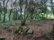 Foto3